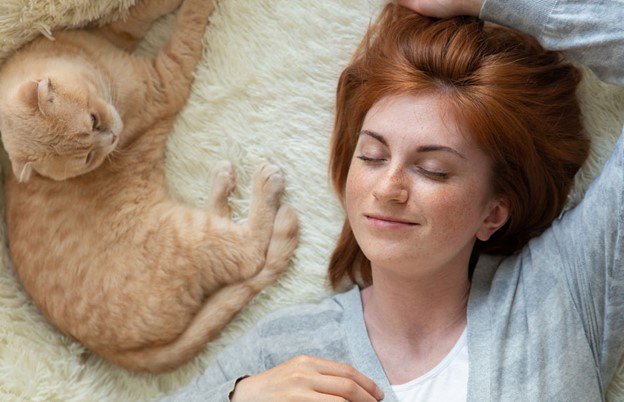 how this cat food can change your life