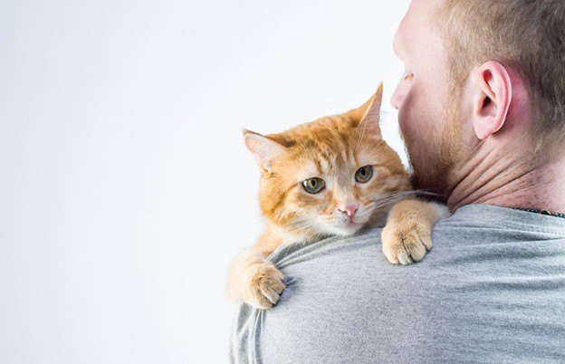 cant adopt due to sensitivity to cat allergens no more excuses