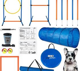 Best Agility Training Products