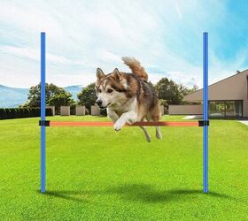 YON.SOU.Dog Agility Equipment Obstacle Course Training Equipment Suitable for Agility Speed Training Jumps Includes Dog Agility Tunnel Poles Jump Hoops Dog Frisbee Pause pet Toy with Carrying Bag 