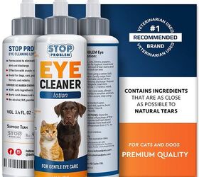 Best Eye Drops for Dogs | PetGuide