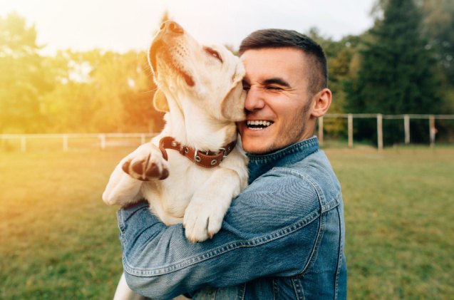 new study shows dogs cry emotional tears when reunited with owners, Maksym Azovtsev Shutterstock