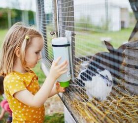 can you keep rabbits outdoors, Ekaterina Pokrovsky Shutterstock