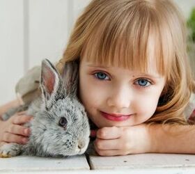are rabbits good pets for children, Anastasia Gepp Shutterstock
