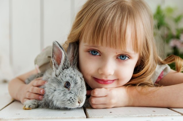 are rabbits good pets for children, Anastasia Gepp Shutterstock