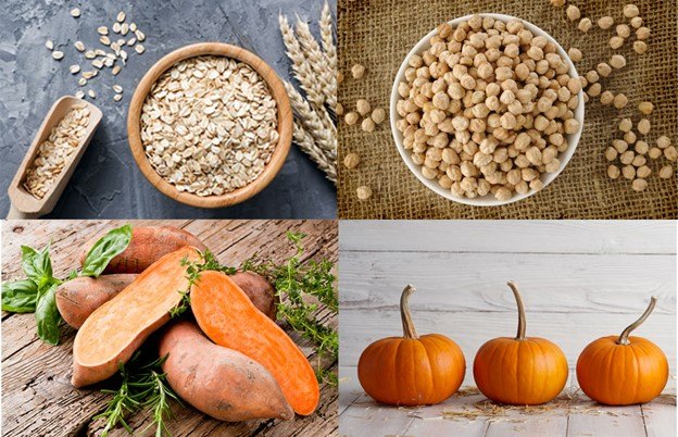 top proteins which protein is best for your dog