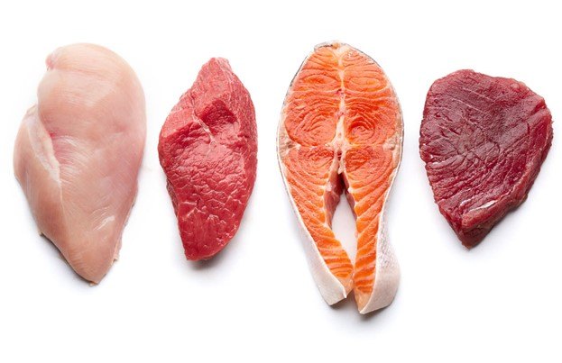 top proteins which protein is best for your dog