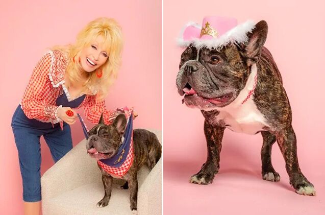 dolly parton launches doggy parton apparel line for pooches