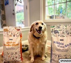 BARK Customizes Dog Food To Ensure The Best Diet For Your Best Friend