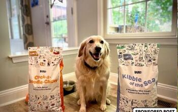 BARK Customizes Dog Food To Ensure The Best Diet For Your Best Friend