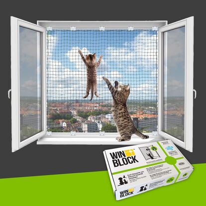 Best Cat Screens for Windows | PetGuide