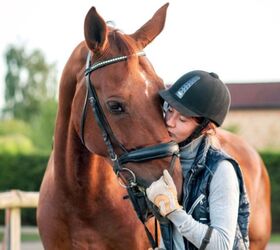 how to bond with your horse, AnnaElizabeth photography Shutterstock