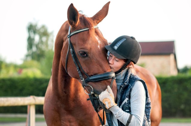 how to bond with your horse, AnnaElizabeth photography Shutterstock