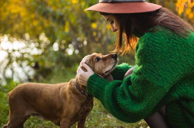 neurological study reveals powerful effect petting dogs has on brain, Ptashkimenko Shutterstock