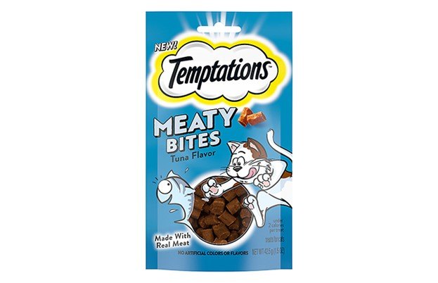 holiday trick or treats for your cat