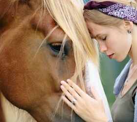 5 Things to Consider Before Getting a Horse