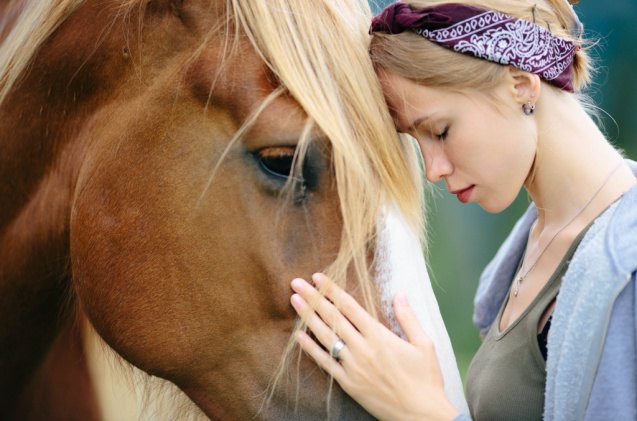 5 things to consider before getting a horse, ignatk Shutterstock