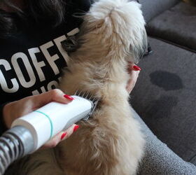 neabot p1 pro professional pet grooming vacuum kit review, Shave and a hair cut