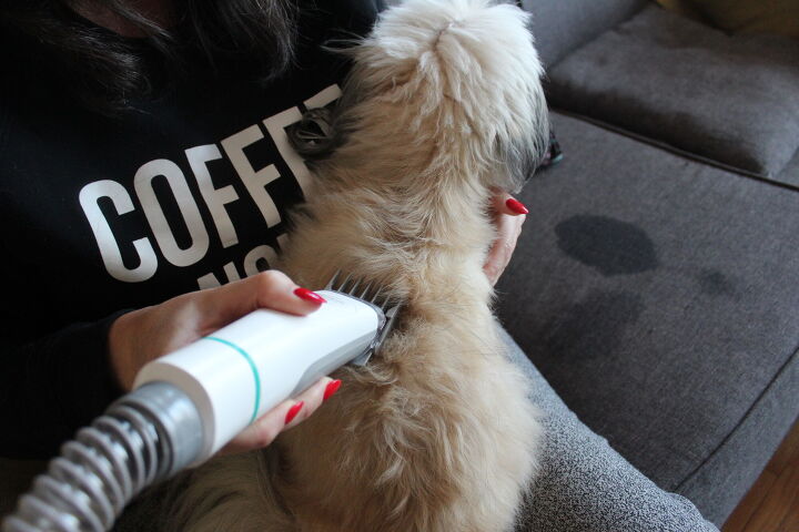neabot p1 pro professional pet grooming vacuum kit review, Shave and a hair cut