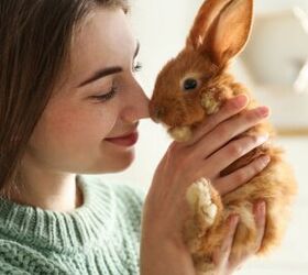 10 Reasons Why Rabbits Make Great Pets
