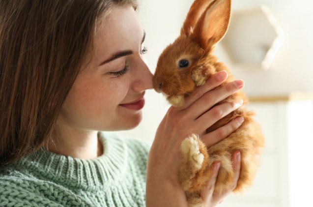10 reasons why rabbits make great pets, New Africa Shutterstock
