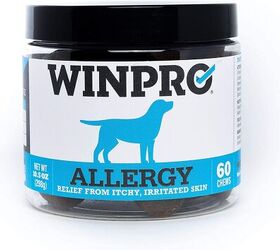 best natural dog allergy relief