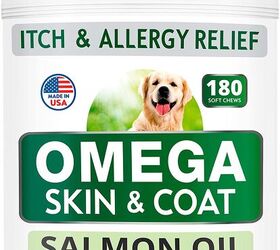 dog food allergy relief