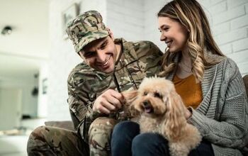 Reports Reveal Military Families Go Into Debt Just to Keep Their Pets
