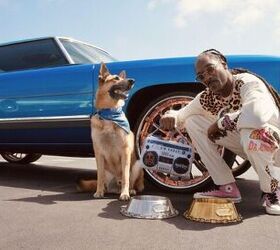 snoop dogg releases own pet accessory line on amazon, SnoopDoggieDoggs com