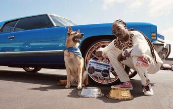 Snoop Dogg Releases Own Pet Accessory Line on Amazon