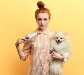 best dog supplement for shedding, UfaBizPhoto Shutterstock