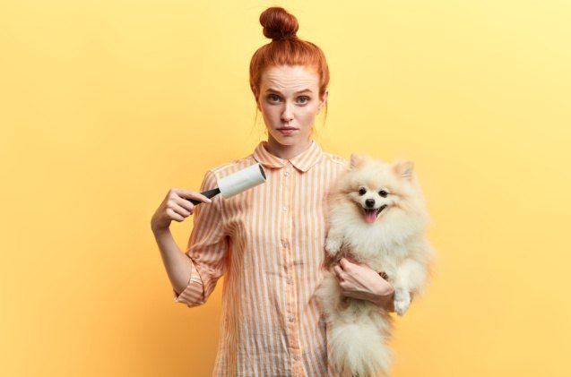 best dog supplement for shedding, UfaBizPhoto Shutterstock