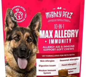 dog food allergy relief