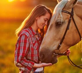 Top 10 Best Gentle Horse Breeds