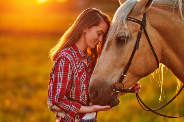 top 10 best gentle horse breeds, goffkein pro Shutterstock