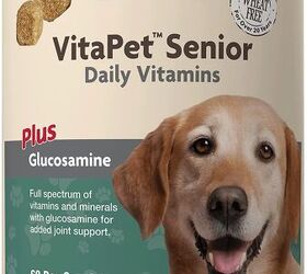 Vitamins for old store dogs