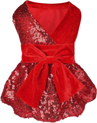 Best New Year's Eve Pet Outfits | PetGuide Best New Year's Eve Pet Outfits | PetGuide