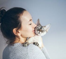 5 Things Being a Cat Person Reveals About You