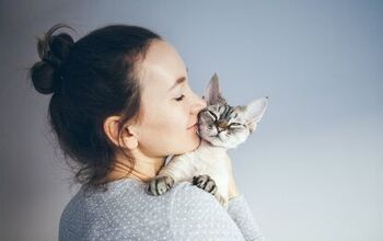 5 Things Being a Cat Person Reveals About You