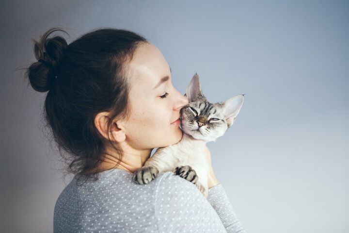 5 things being a cat person reveals about you, Veera Shutterstock