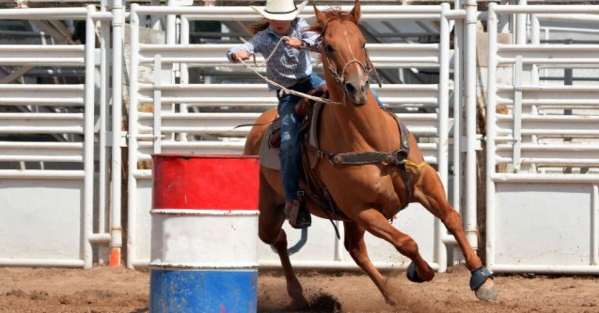 Best Horses for Barrel Racing | PetGuide