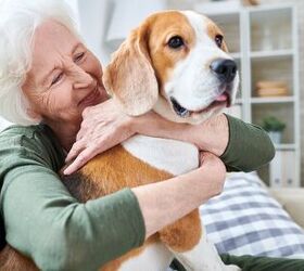 Being An ‘Older’ Pet Parent May Come With Health Benefits