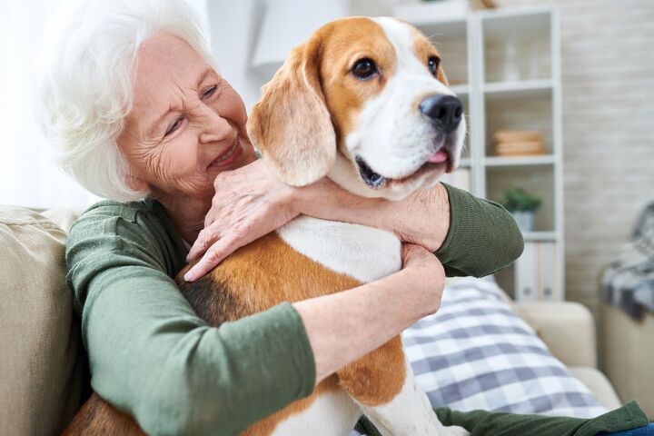 being an older pet parent may come with health benefits, SeventyFour Shutterstock