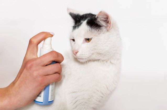 best cat spray deterrent, Vaillery Shutterstock