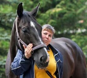 best horses for heavy riders, Viktoria Suslova Shutterstock