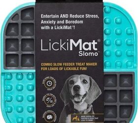 turquoise and gray dog lick mat
