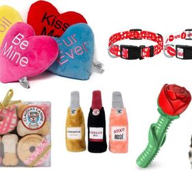 Pawesome Valentine’s Day Dog Gifts That Let You Share The Love!