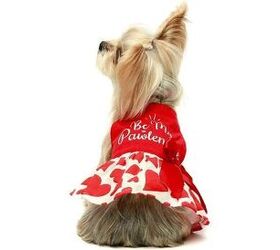 pawesome valentines day dog gifts that let you share the love
