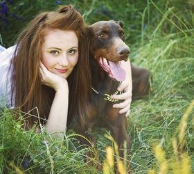 top 10 clingy dog breeds, Best dog photo Shutterstock