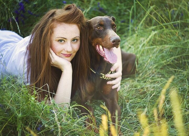 top 10 clingy dog breeds, Best dog photo Shutterstock